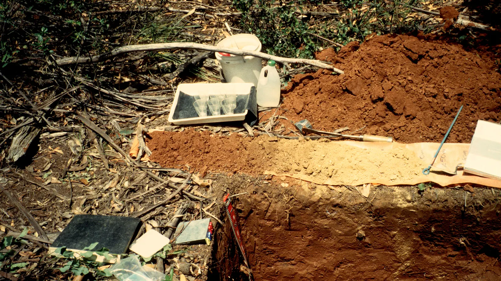 An excavated soil pit with auger samples laid out on a sheet beside it