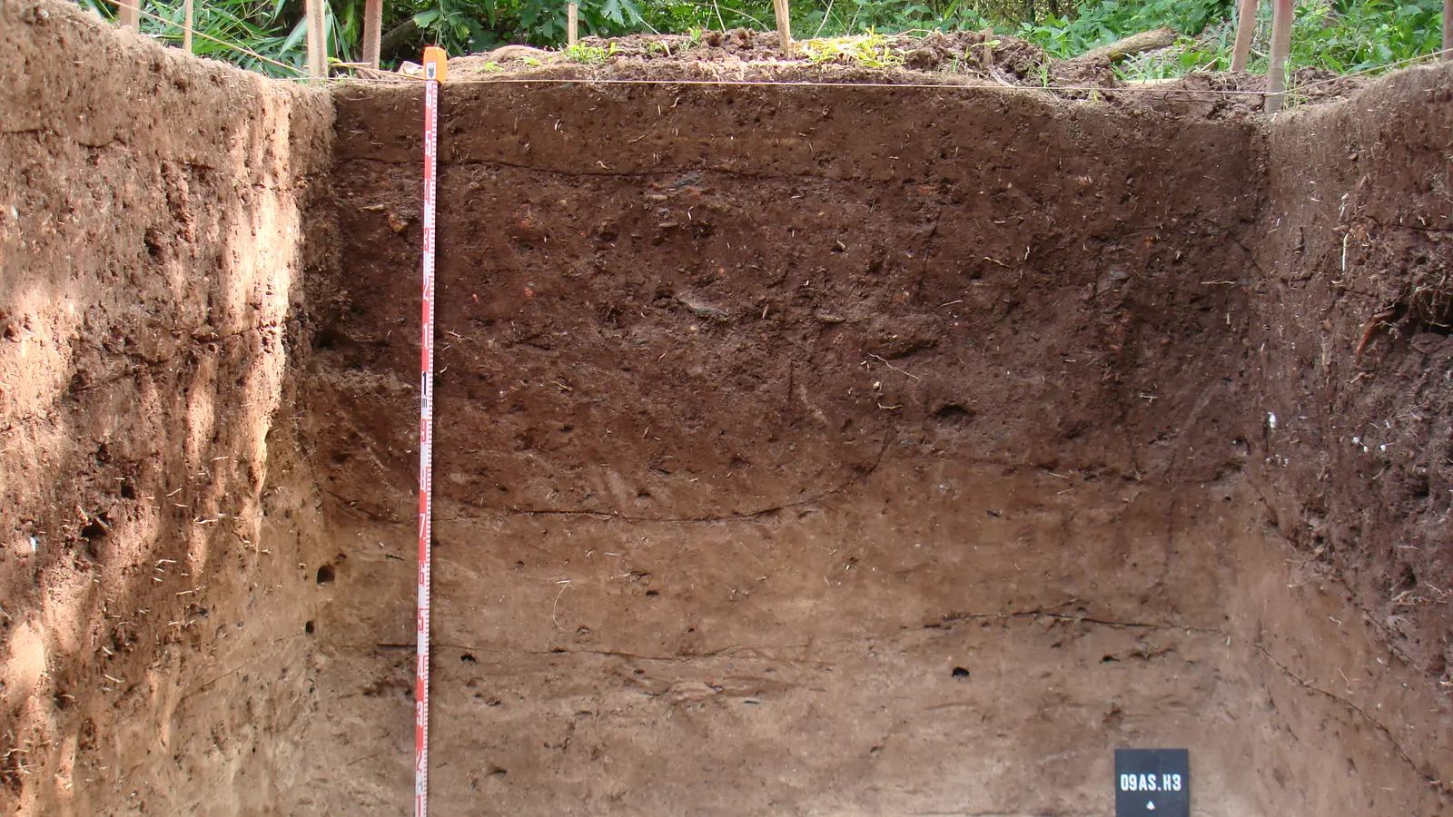 A trench face showing soil layers with a measuring rod