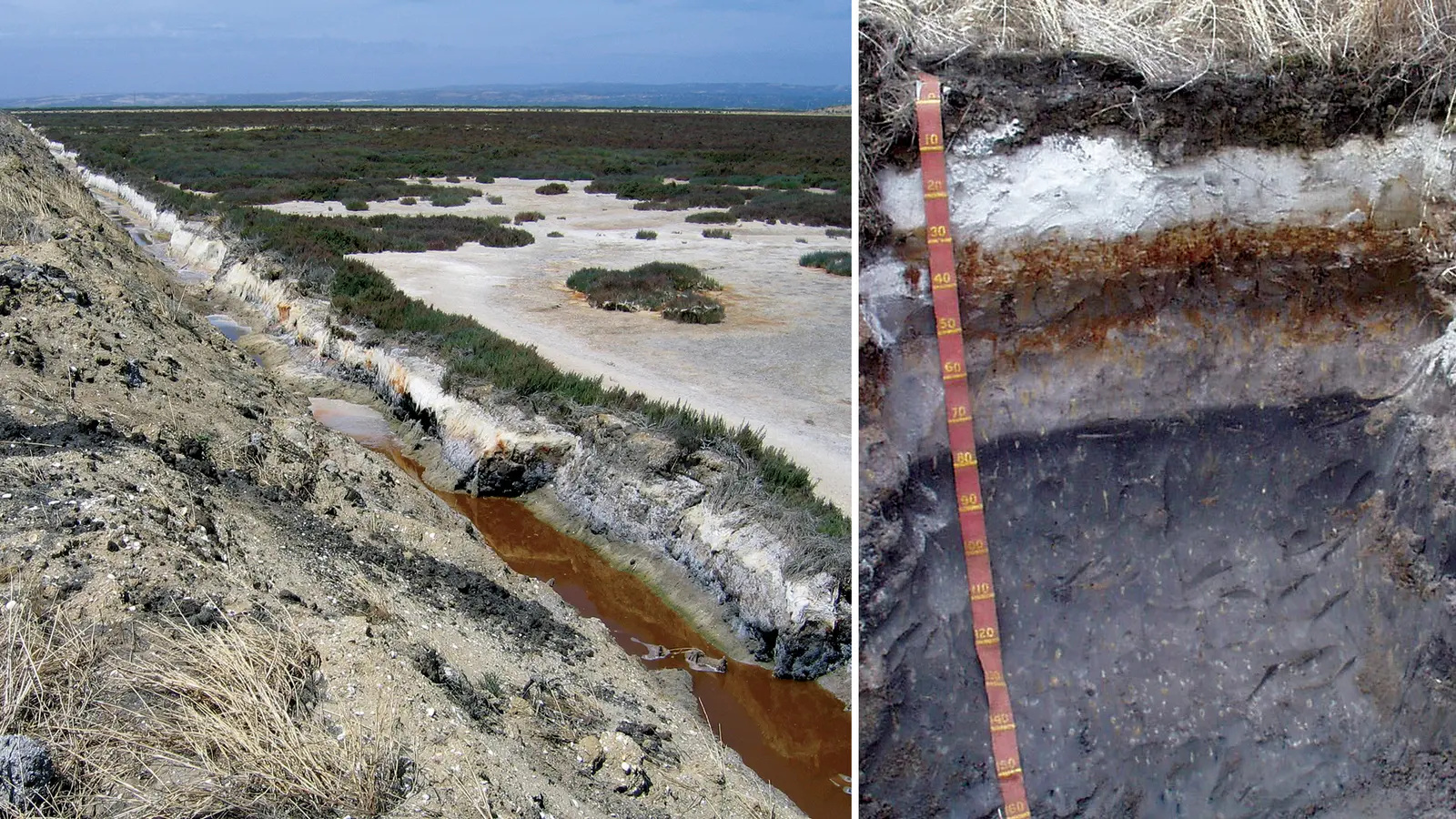 A salt-affected landscape beside a pit face showing soil layers with a tape