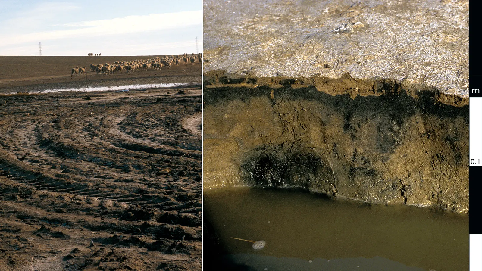 A waterlogged test pit with its soil profile